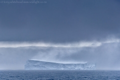 Iceberg_South_Shetlands_D811399-web