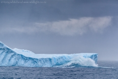 Iceberg_Wave_South_Shetlands_D811394-web
