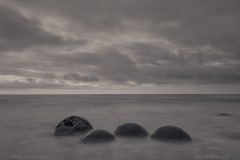 MoerakiBouldersGelmertype_D819044-web