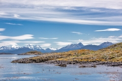 BeagleChannel_D810745-web