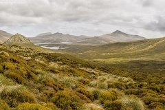 CampbellBeemanHill_D3S0015-Pano-web