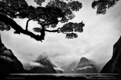 Milford Sound
