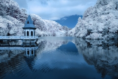 Karori_Sanctuary-IR-web