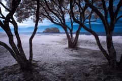 RabbitIsland-DSC_0064-8x12
