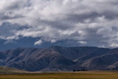 New Zealand Landscape