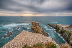 Muriwai-D801822_HDR-web