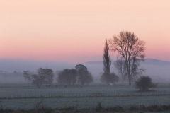 Winter-dawn-Rotorua