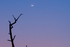 African-moonset-SA2008Elandshoek6-287-web
