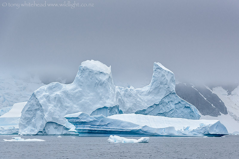 Antarctica