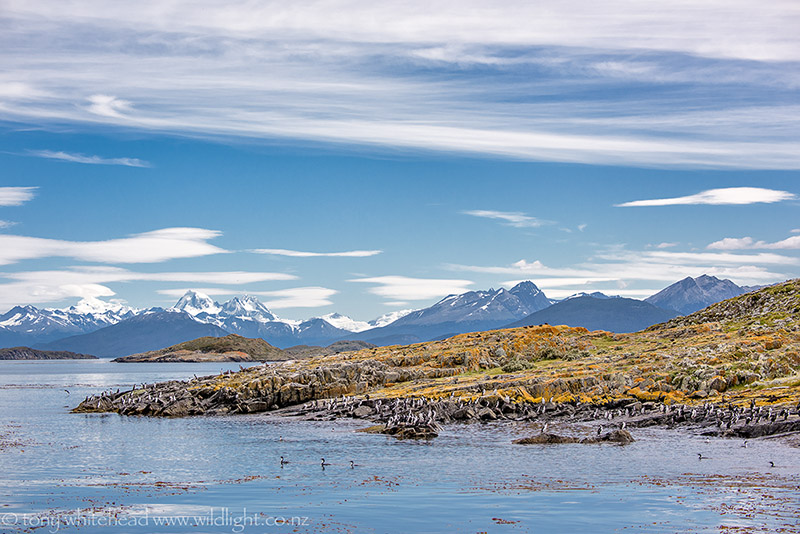 Beagle Channel