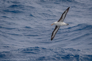 Drake Passage to Antarctica