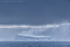 Icebergs