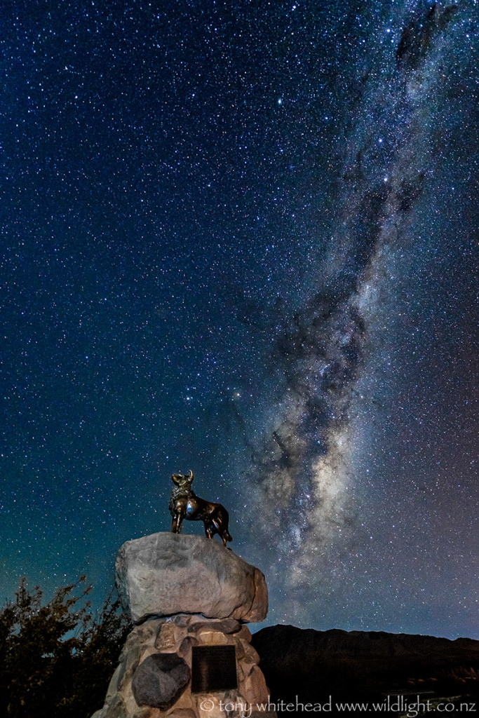 Sheep Dog statue and Milky Way