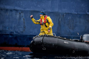 Portraits from the Subantarctic