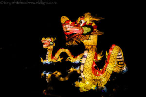 Auckland Lantern Festival