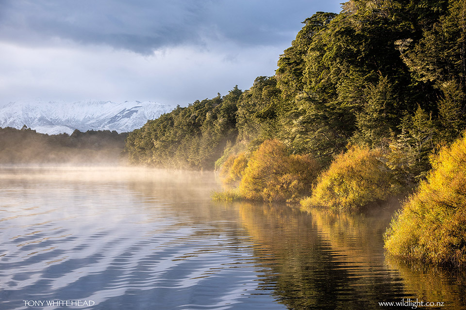 Lake Manapouri