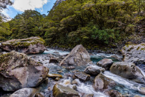 Milford Road