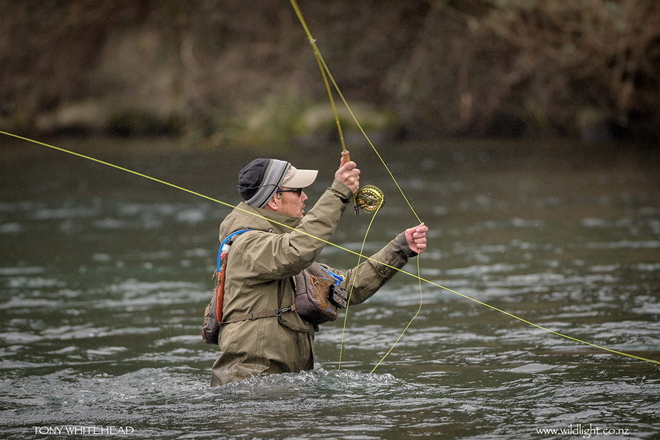 More Tongariro river photos