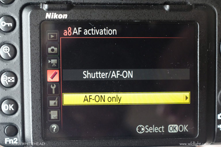 Nikon D500/D850 focus settings for bird photography. WildLight
