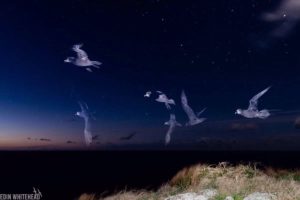 NZ Geographic Awards Night 2018