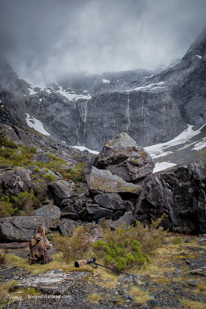 Rock Wren habitat in New Zealand’s Southern Alps