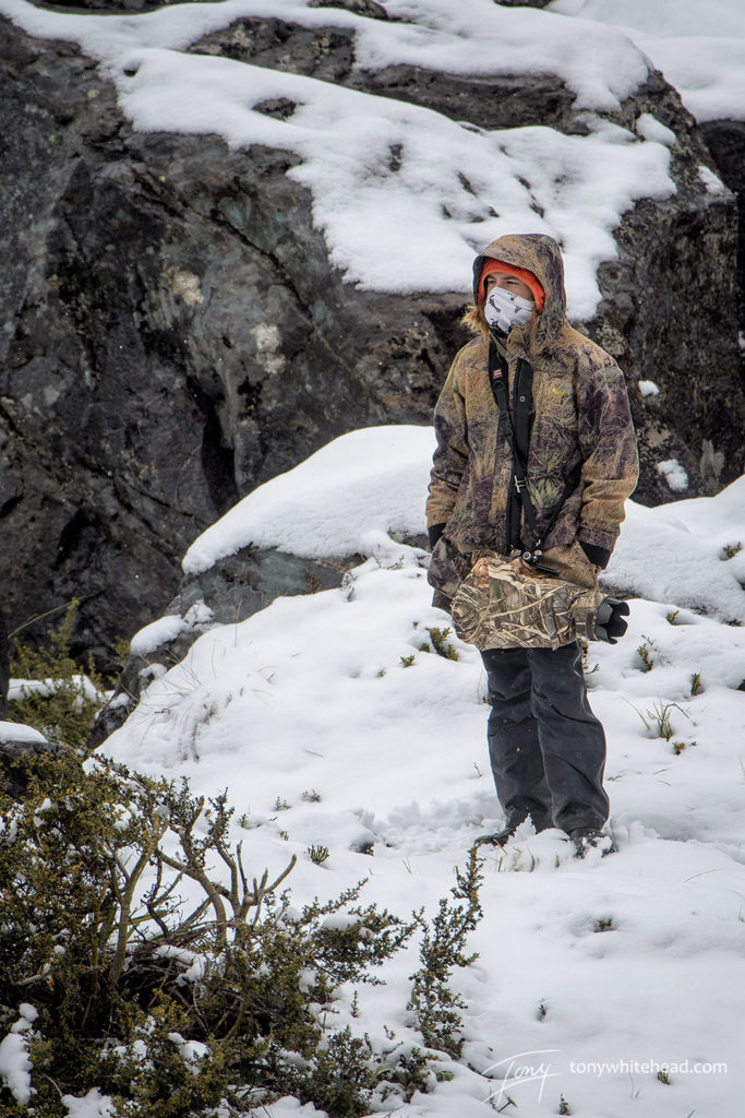 Looking for Rock Wren in the snow