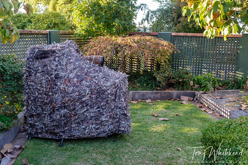 Photo showing chair blind with 500mm f4 lens mounted on a tripod.