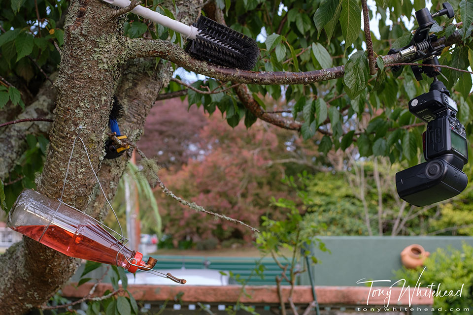 Photo showing set-up with single remote flash set up 60 degrees off axis to mirror direction of ambient light