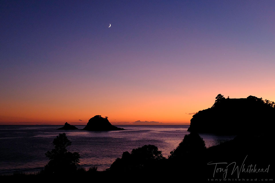 Image showing Hahei Sunrise - Fuji Velvia jpg SOC