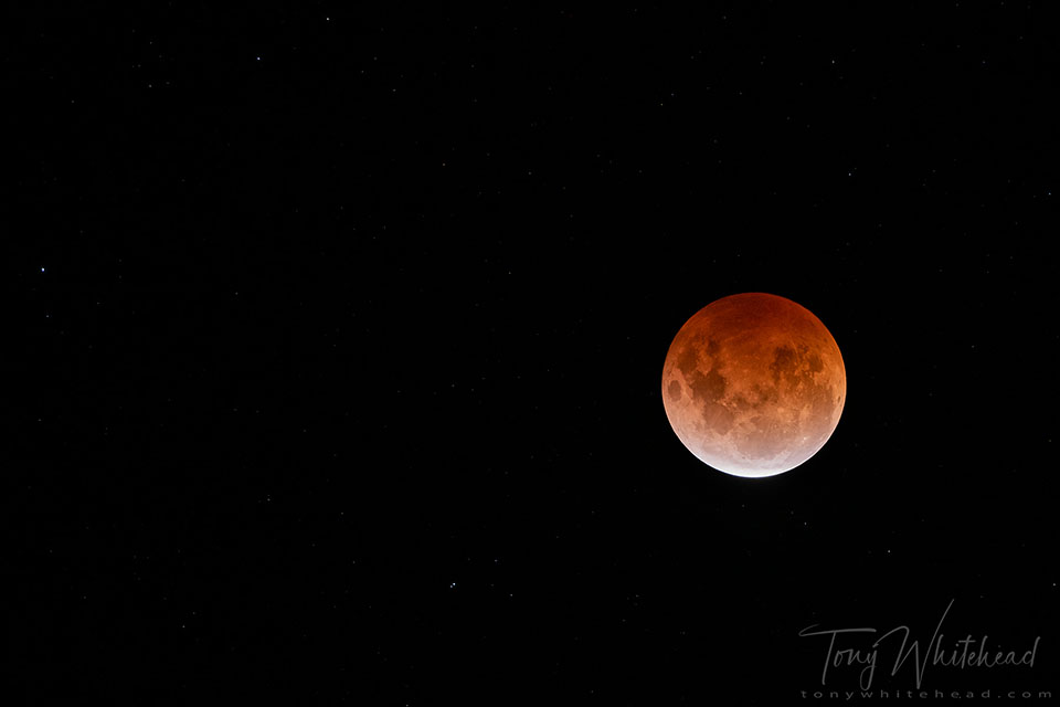 Super-moon Eclipse