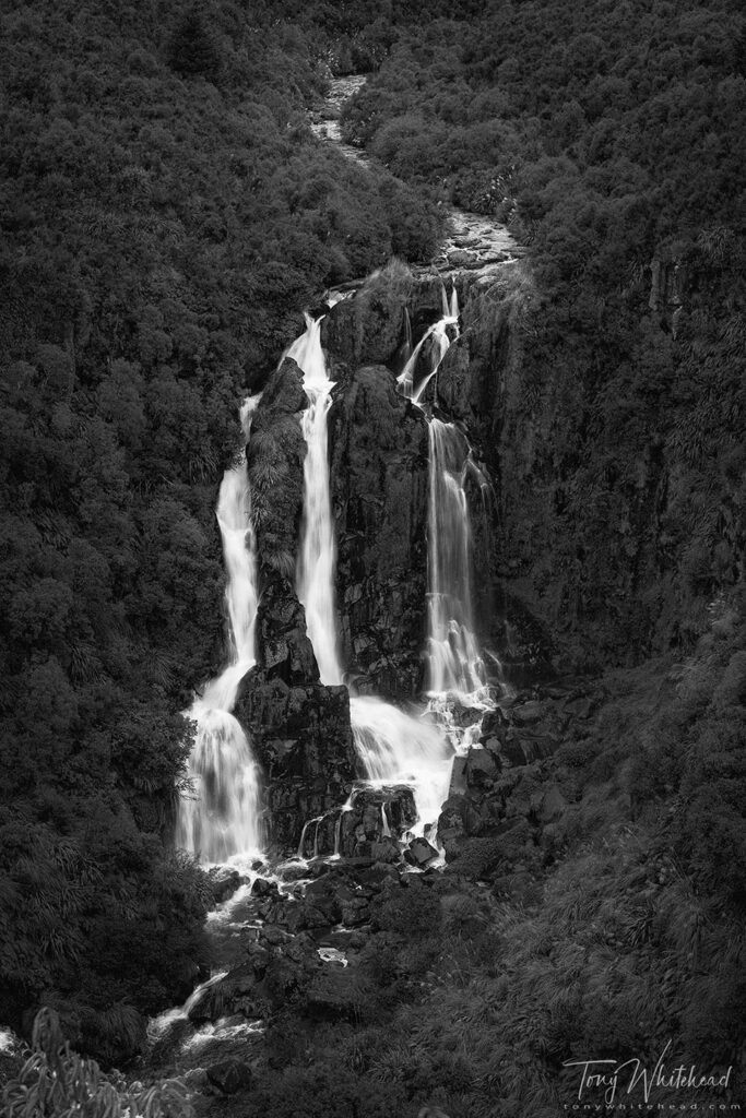 Photo of Waipunga Falls