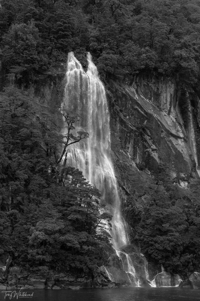 Photo of one of the many Milford Sound waterfalls