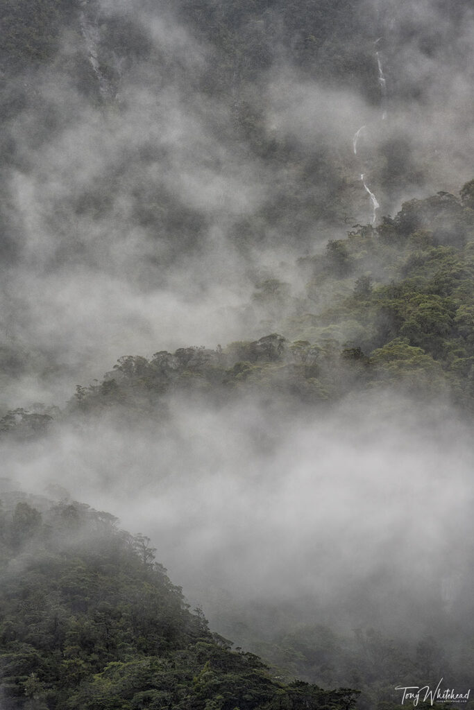 Cloud hanging against the walls of Milford Sound