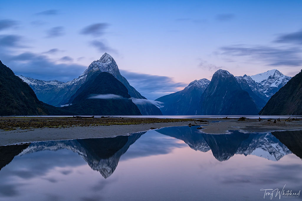 Milford Sound/Piopiotahi in Colour