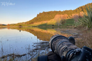 Three Steps to Nice Light at Lake Okareka