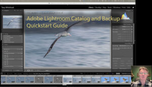 Video Tutorial – Lightroom Catalog and Image File Backup