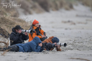 Wildlife Photography Workshop News