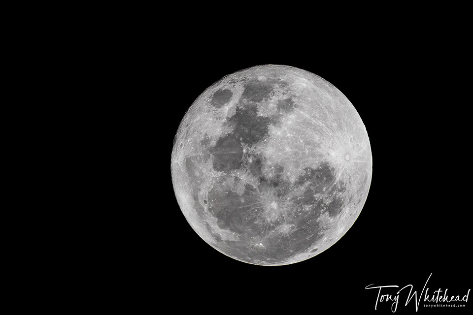 Photographing the Super Blue Moon. VR is insane!