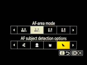 My Nikon Z8/Z9 Autofocus Settings for Bird Photography