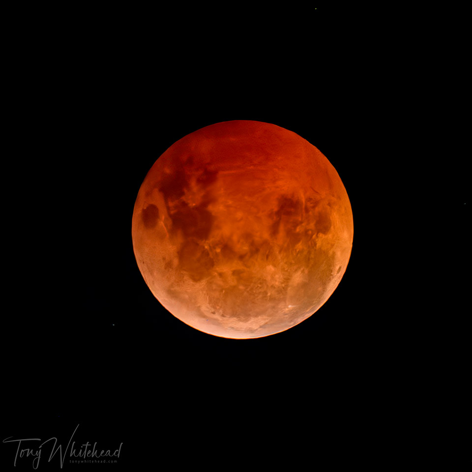 Blood Moon