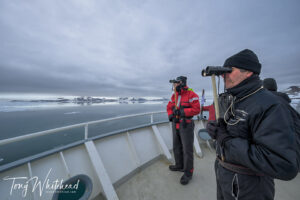 Polar Bear Hunt Continues